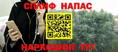 стаф Ливны