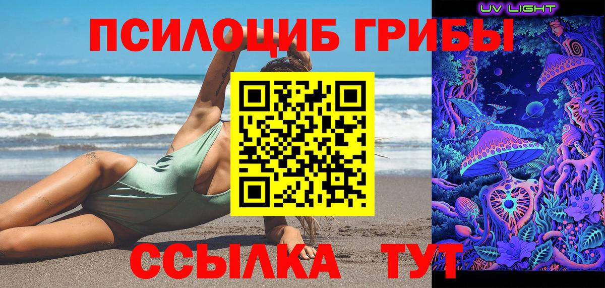Псилоцибиновые грибы Cubensis  цены наркотик  Верхняя Пышма  Галлюциногенные грибы ЛСД  Вход с VPN 